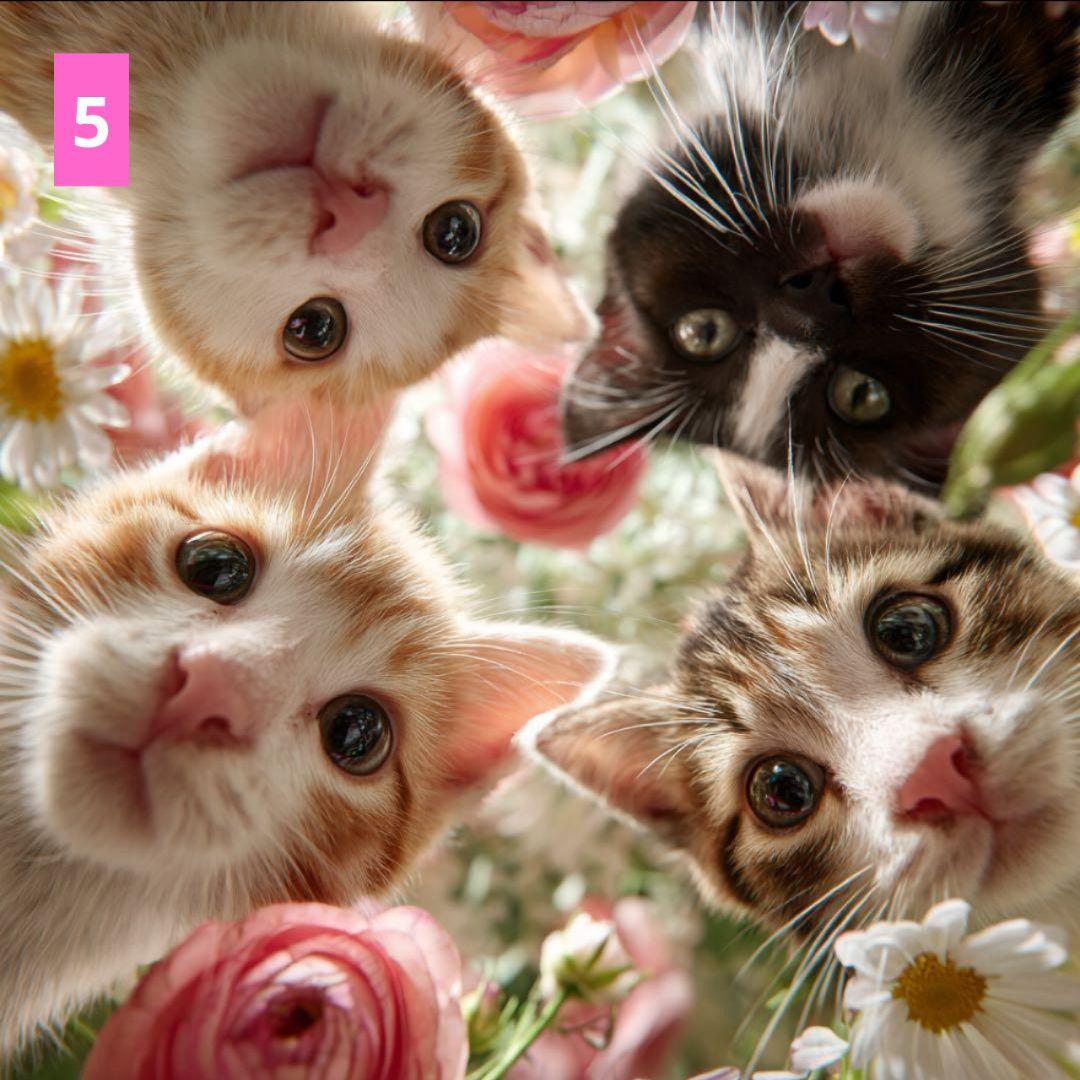 フラットポーチ♥ペタンコトートバック♥オーダー受け付け専用ページ♥アップCAT