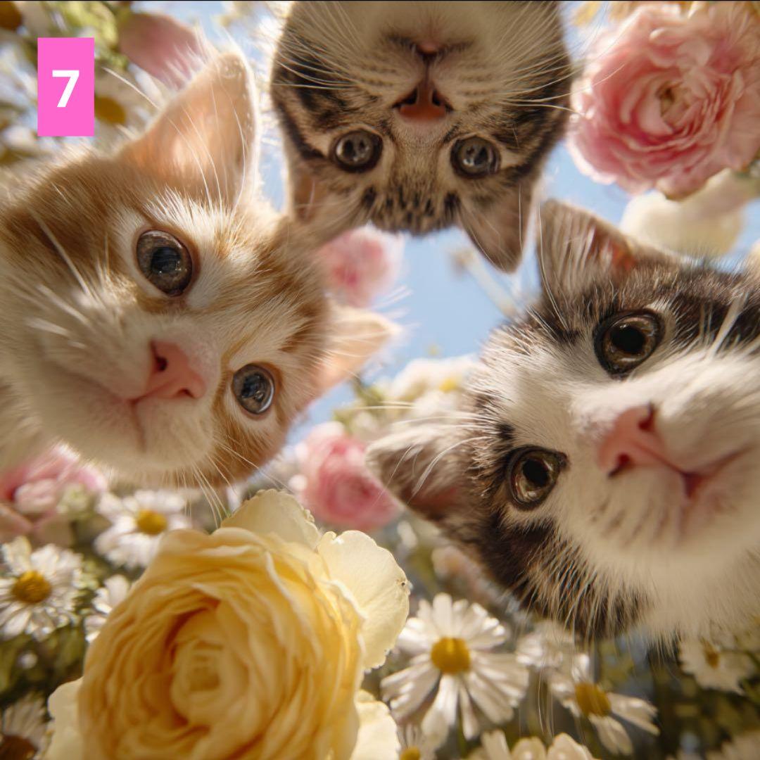 フラットポーチ♥ペタンコトートバック♥オーダー受け付け専用ページ♥アップCAT