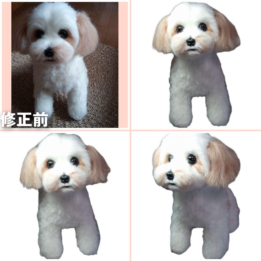 愛犬さんの羊毛フェルトオーダー・茶子様ご確認専用