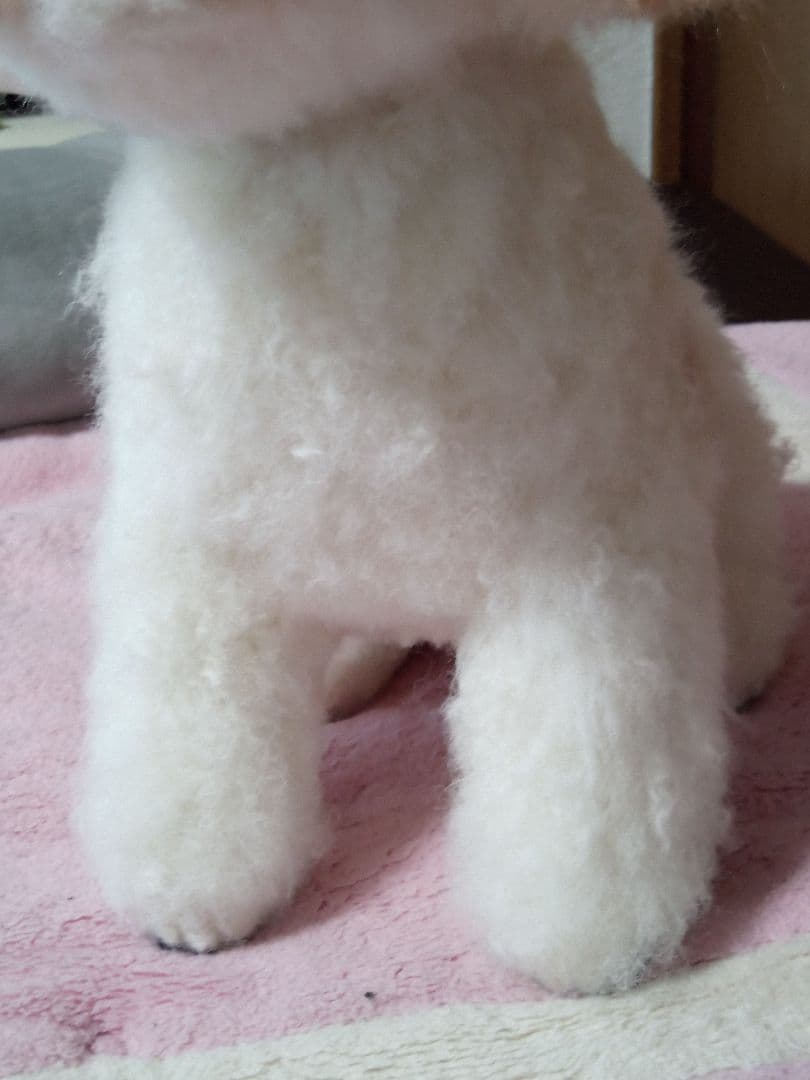 愛犬さんの羊毛フェルトオーダー・茶子様ご確認専用