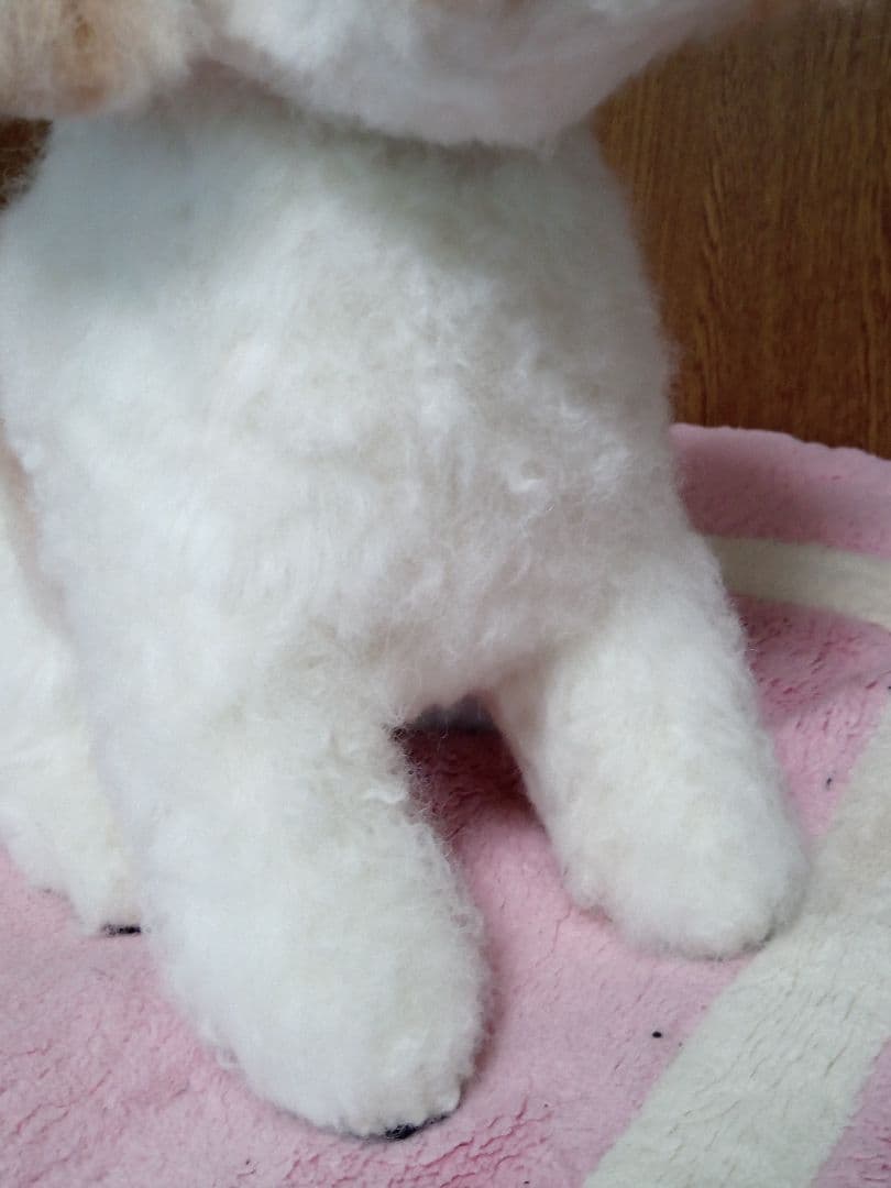 愛犬さんの羊毛フェルトオーダー・茶子様ご確認専用