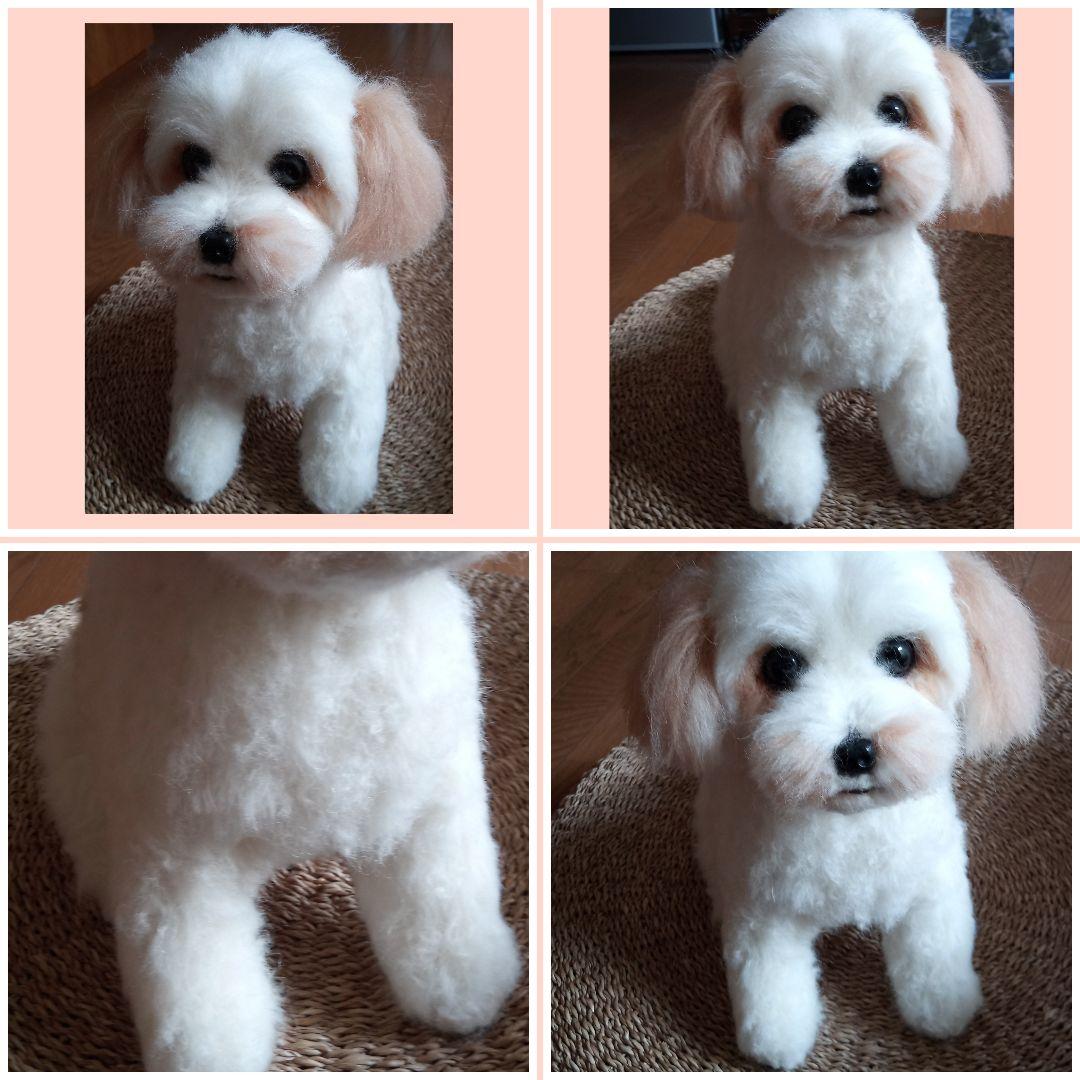 愛犬さんの羊毛フェルトオーダー・茶子様ご確認専用
