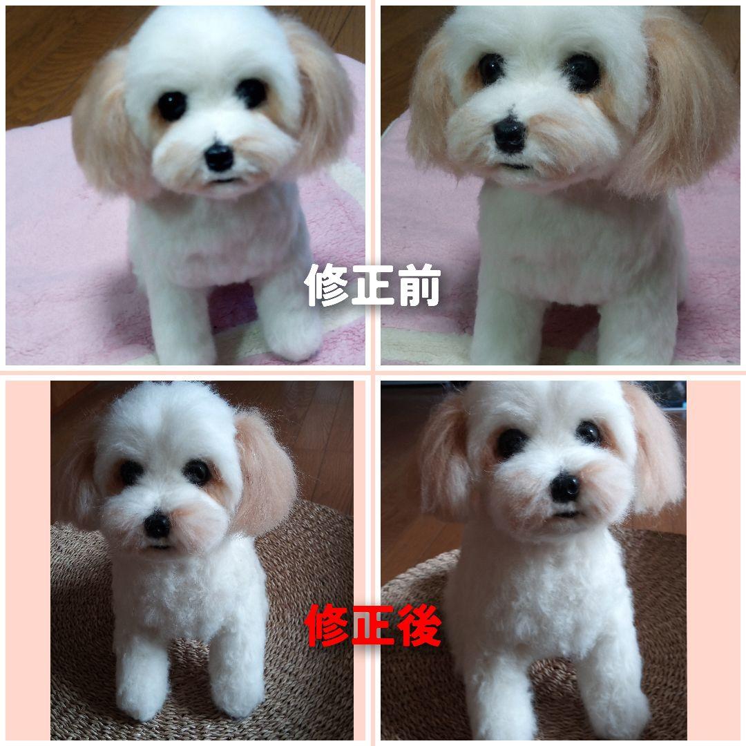 愛犬さんの羊毛フェルトオーダー・茶子様ご確認専用