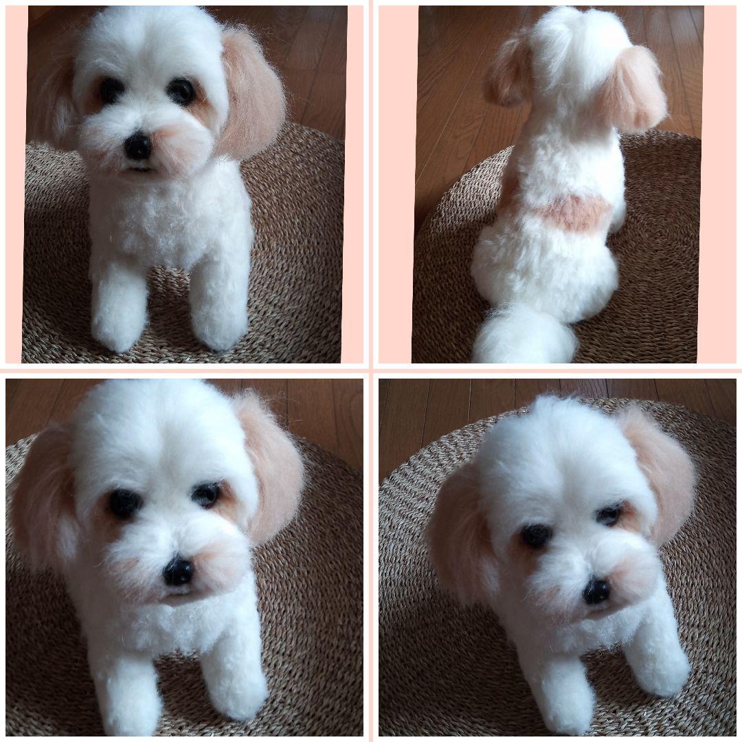 愛犬さんの羊毛フェルトオーダー・茶子様ご確認専用