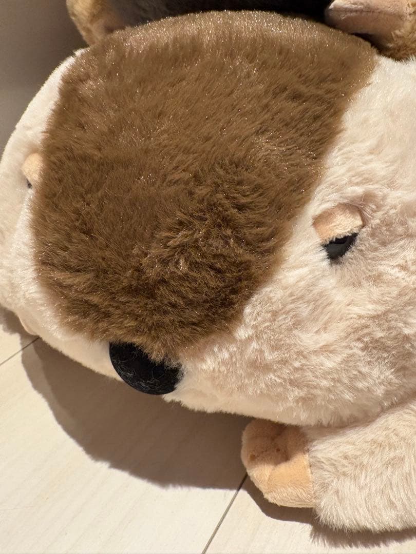 Dｒ.マーモットまもちおもプクのぺたーん＆マモ相撲ぬいぐるみ&絶叫ギミックセット