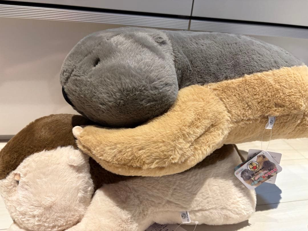 Dｒ.マーモットまもちおもプクのぺたーん＆マモ相撲ぬいぐるみ&絶叫ギミックセット