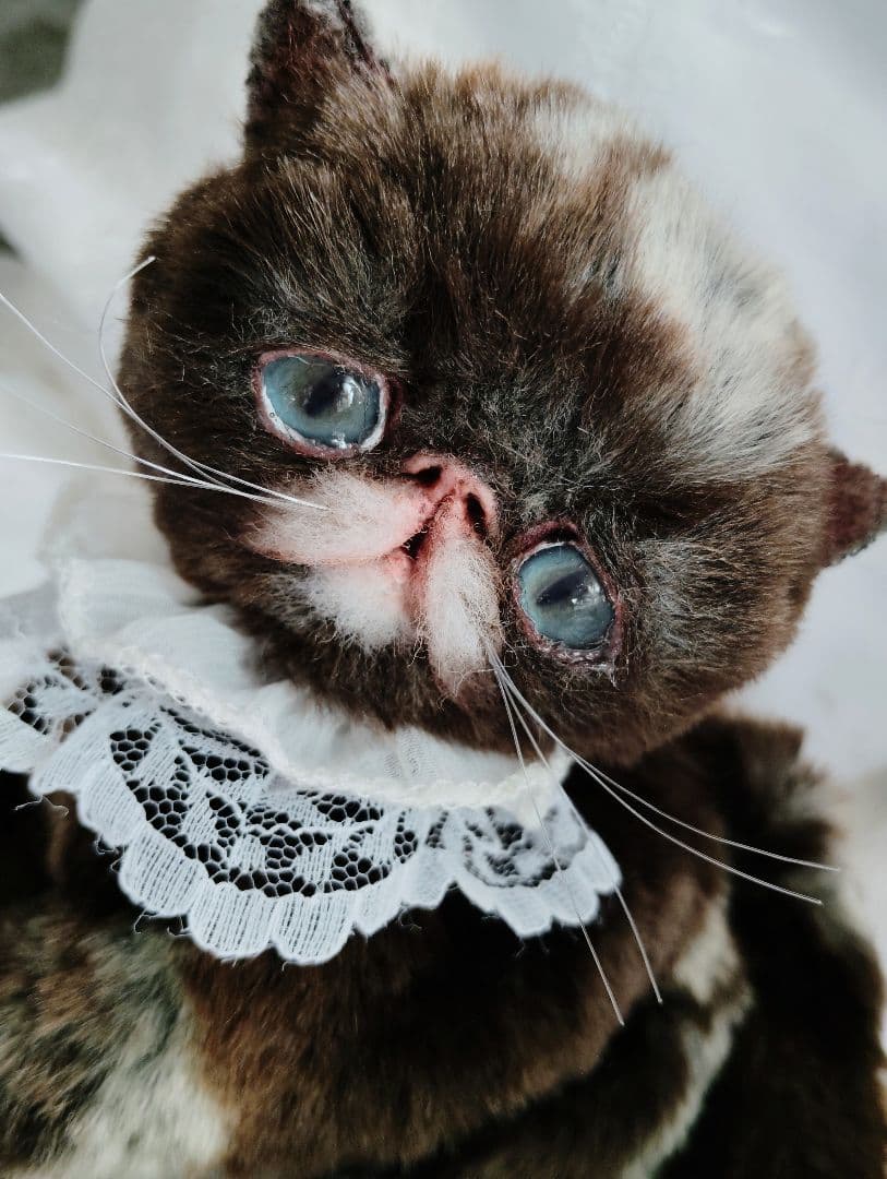 ラスト♡高級配色ファー♡エキゾチック子猫ちゃん♡アートドール♡ぬいぐるみ♡