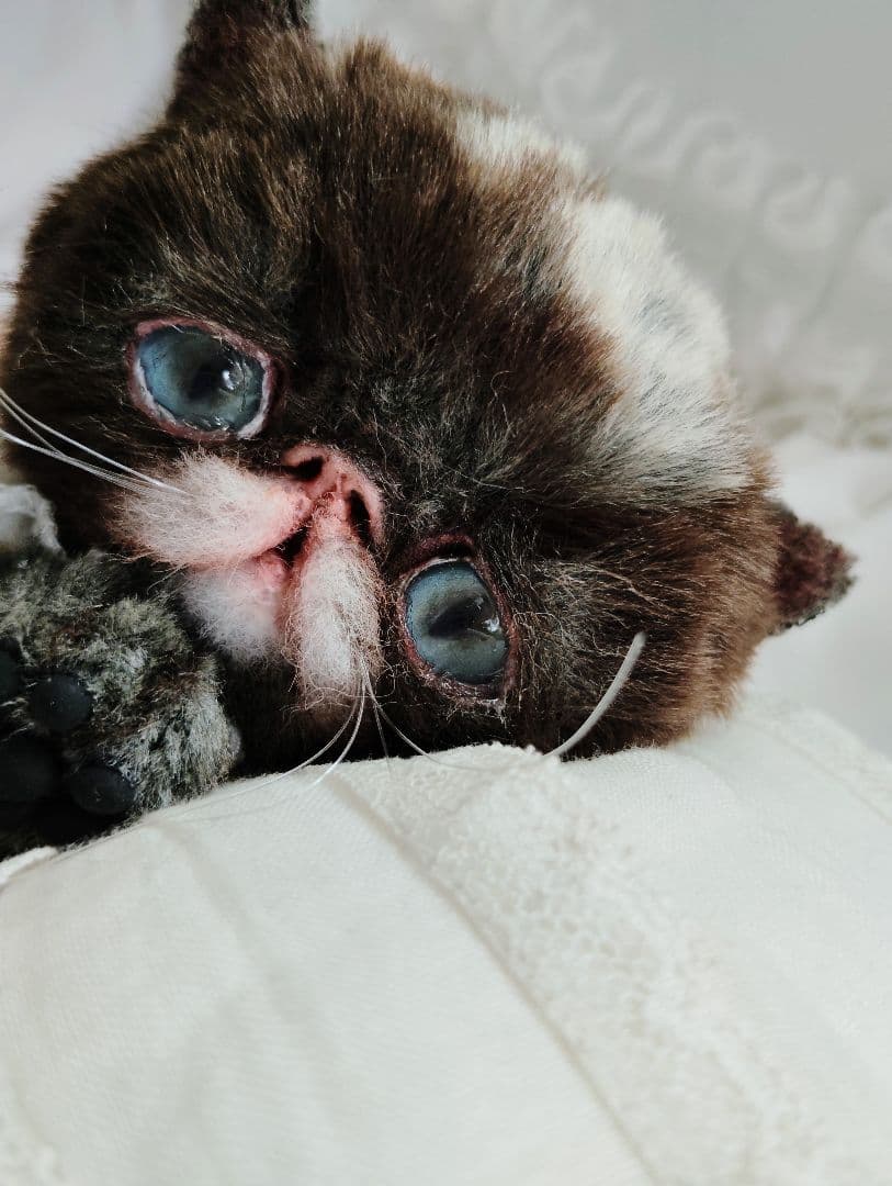 ラスト♡高級配色ファー♡エキゾチック子猫ちゃん♡アートドール♡ぬいぐるみ♡