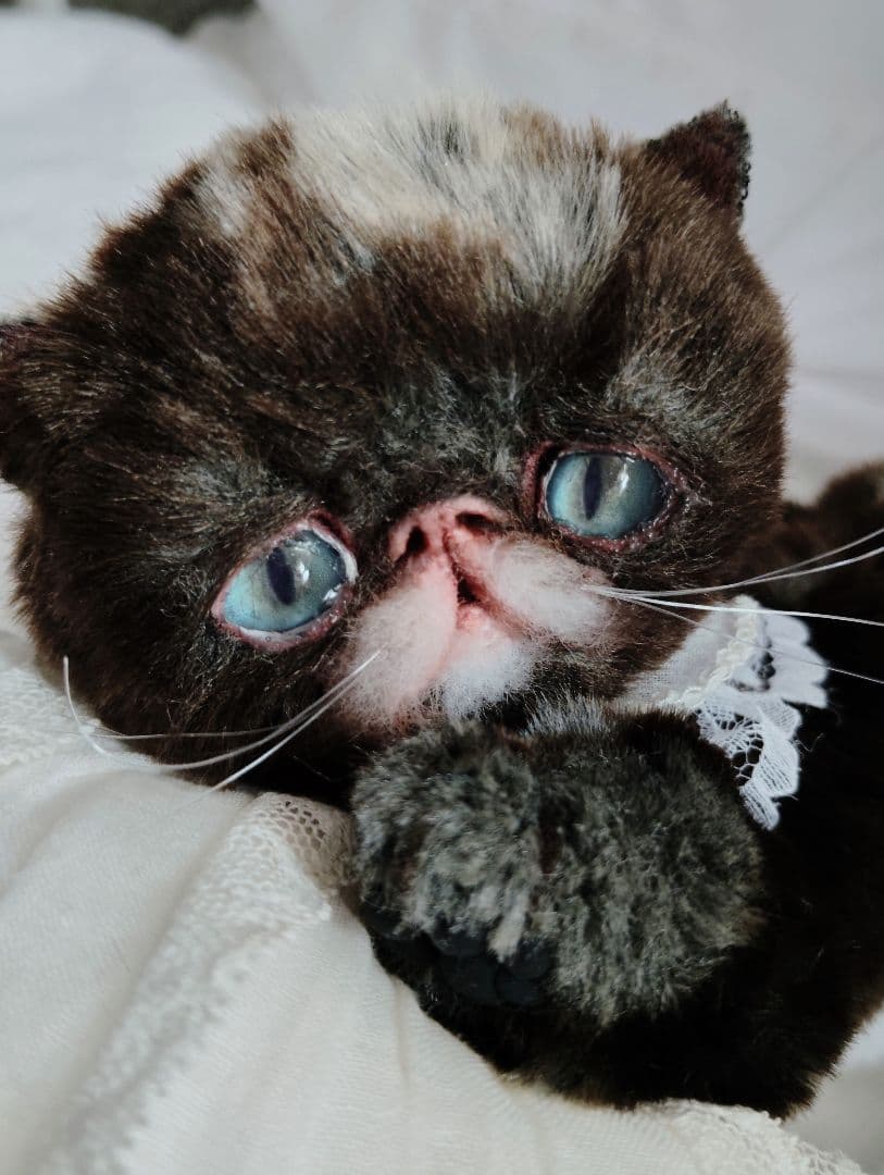 ラスト♡高級配色ファー♡エキゾチック子猫ちゃん♡アートドール♡ぬいぐるみ♡