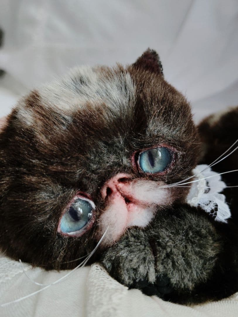 ラスト♡高級配色ファー♡エキゾチック子猫ちゃん♡アートドール♡ぬいぐるみ♡