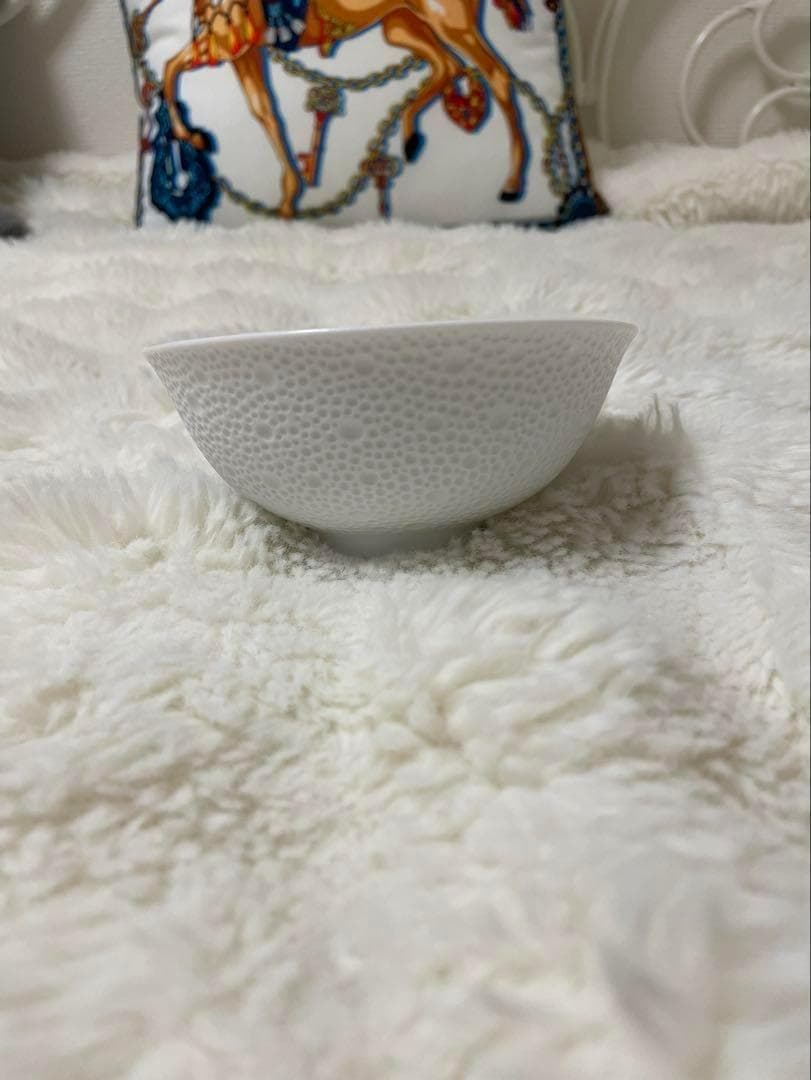 BERNARDAUD エキュム ライスボウル 2枚セット