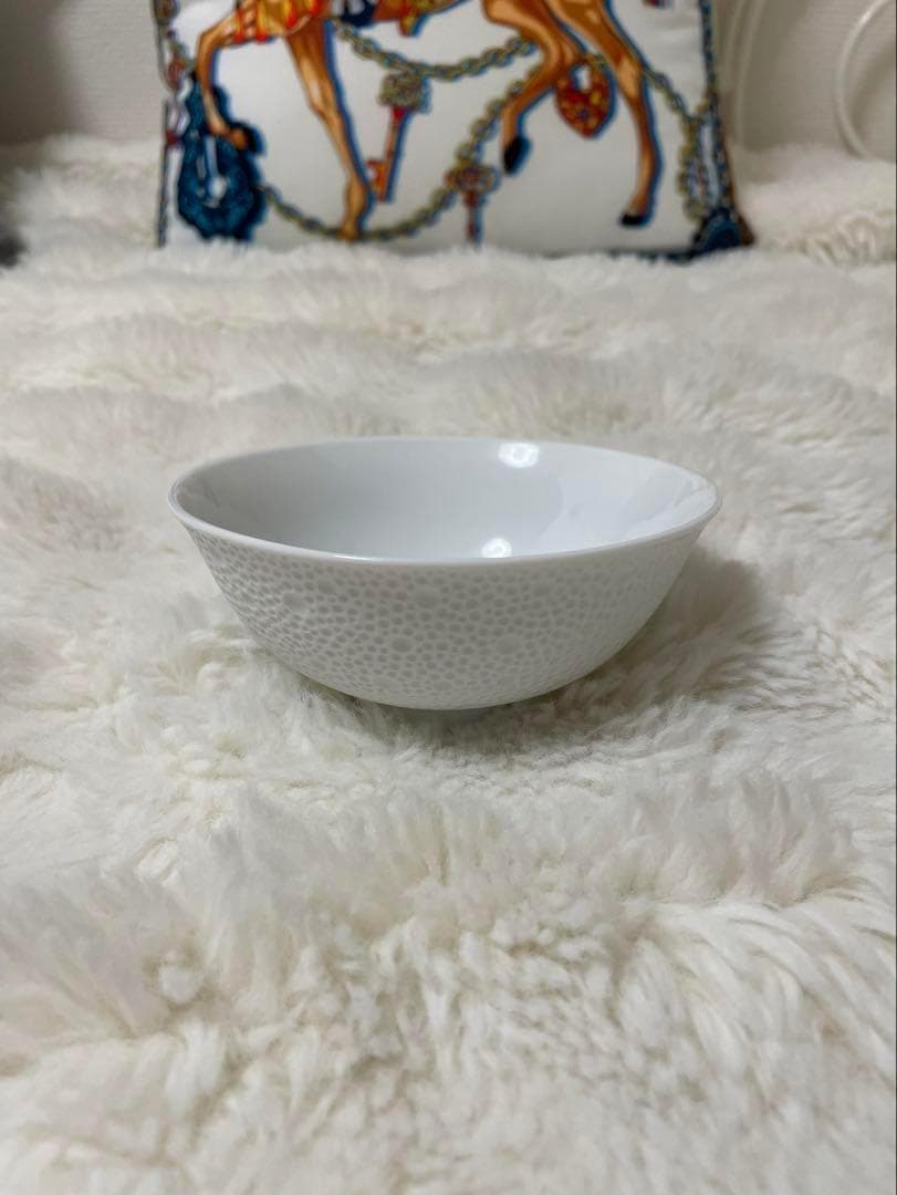 BERNARDAUD エキュム ライスボウル 2枚セット