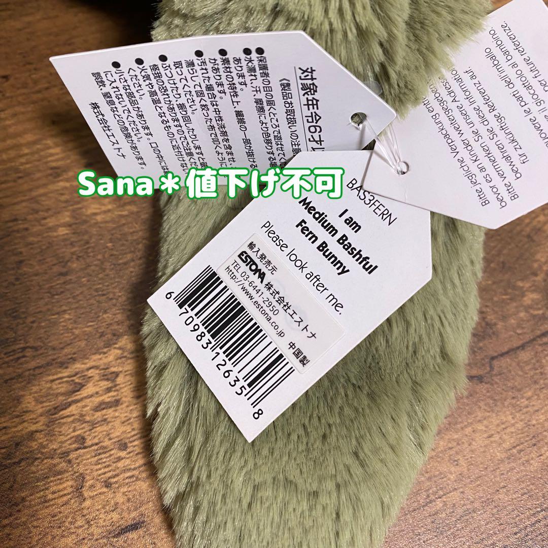 廃盤　新品　ジェリーキャット　Bashful Fern Bunny Medium