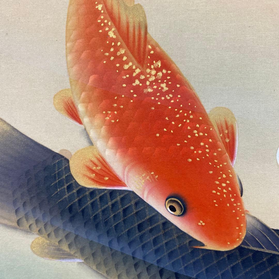 美品 掛け軸 天野望作 彩鯉図 共箱 縁起物 遊鯉 年中掛け - メルカリ