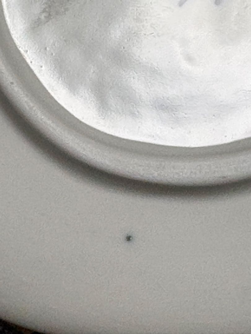 ARABIA グンヴァル・オリン・グランクヴィスト 1972年クリスマスプレート