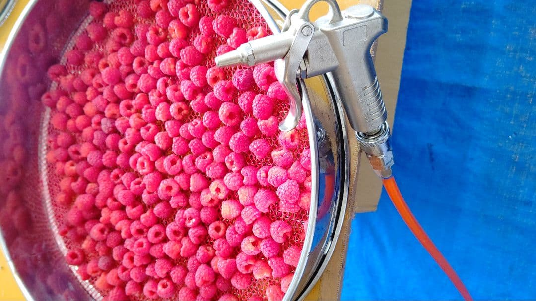 冷凍ラズベリー４０００グラム