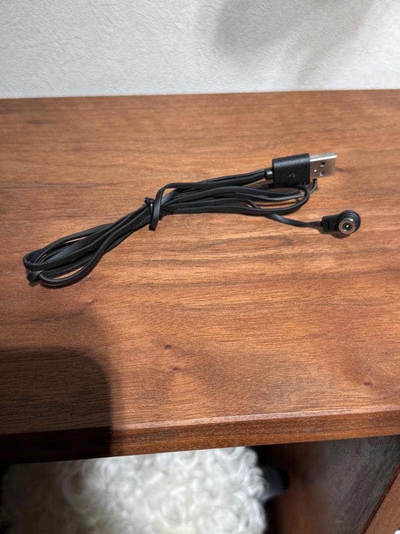 その他 Audo  RAY PORTABLE LAMP