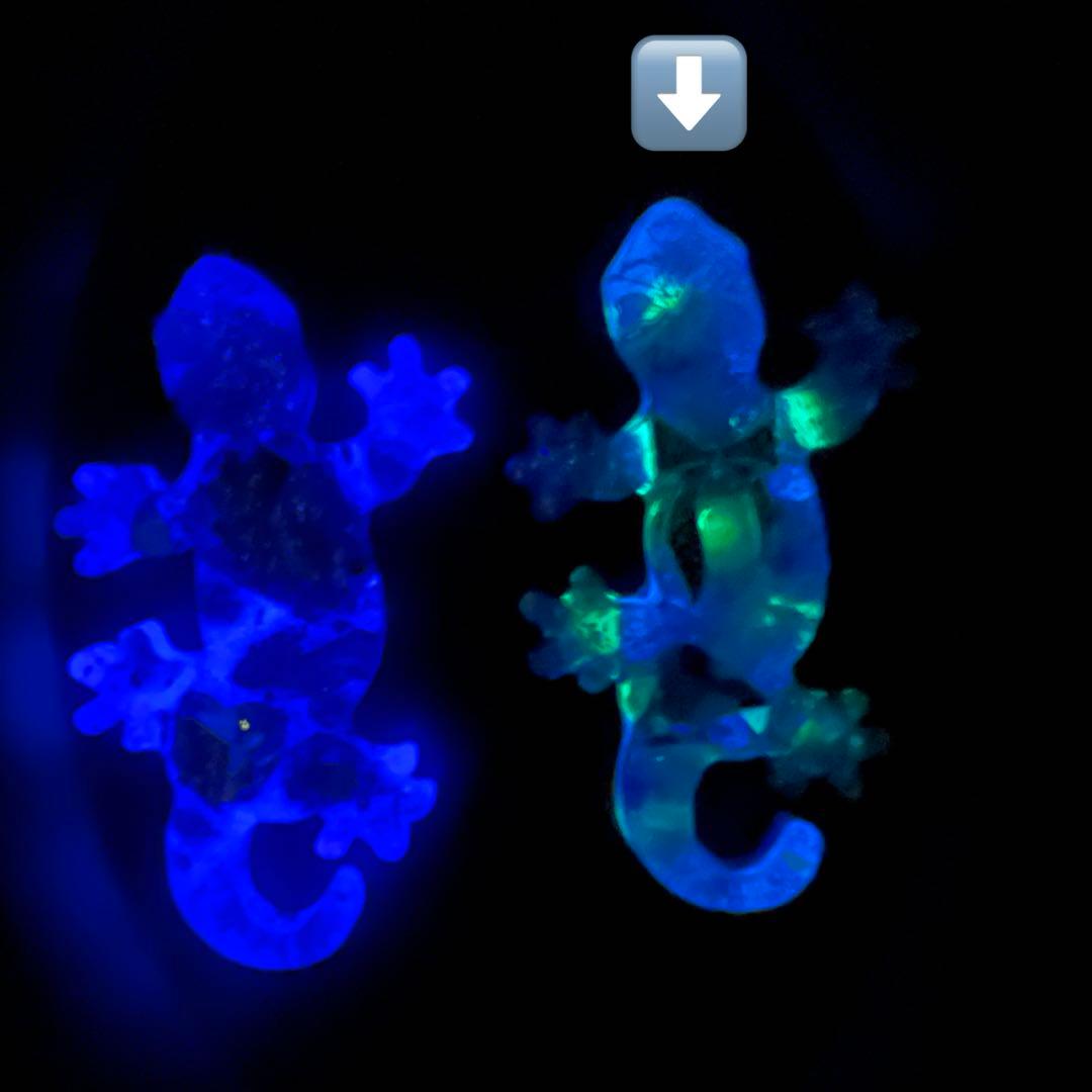 No.287 夜桜トカゲ 蓄光トカゲ qPIGpのトカゲ