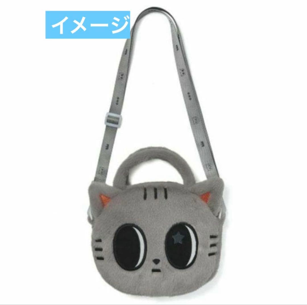 新品未開封 TXT PPULBATU テヒョン クロスバッグ ダゴニャン - メルカリ