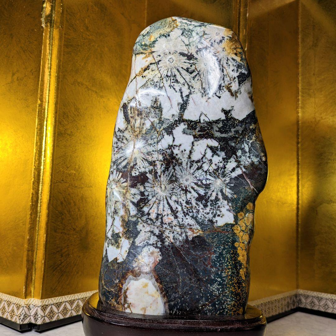 菊花石 岐阜県根尾谷産4.0㌔ 鑑賞石 観賞石 水石 盆石 鉱物 天然石 置物