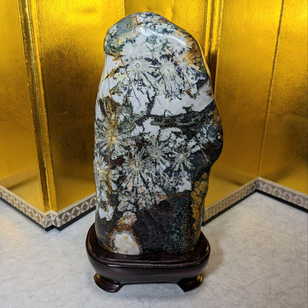 菊花石 岐阜県根尾谷産4.0㌔ 鑑賞石 観賞石 水石 盆石 鉱物 天然石 置物