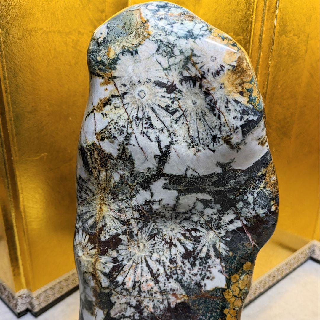 菊花石 岐阜県根尾谷産4.0㌔ 鑑賞石 観賞石 水石 盆石 鉱物 天然石 置物