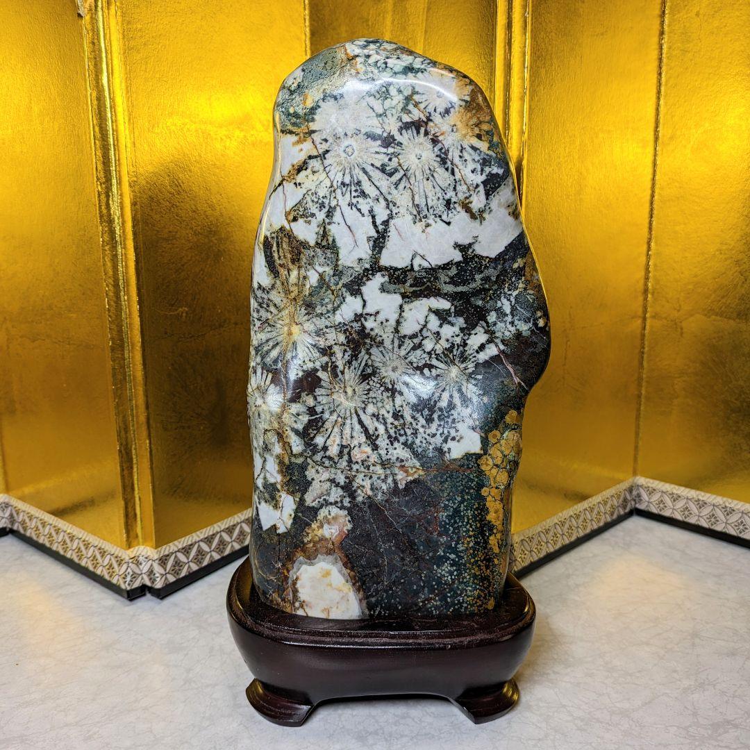 菊花石 岐阜県根尾谷産4.0㌔ 鑑賞石 観賞石 水石 盆石 鉱物 天然石 置物