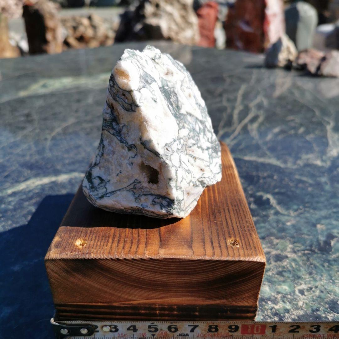 ツリーアゲート 738グラム 鑑賞石 原石 宝石 鉱物 パワーストーン 石