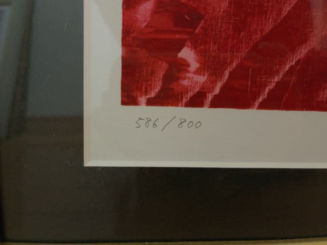 深見東州 「富士と天女の羽衣」 586/800 絵画 - メルカリ