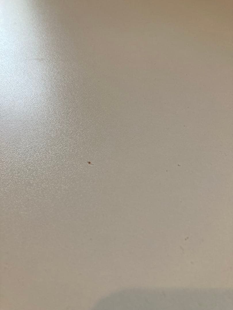 廃盤　IKEA SANSAD キッズテーブル