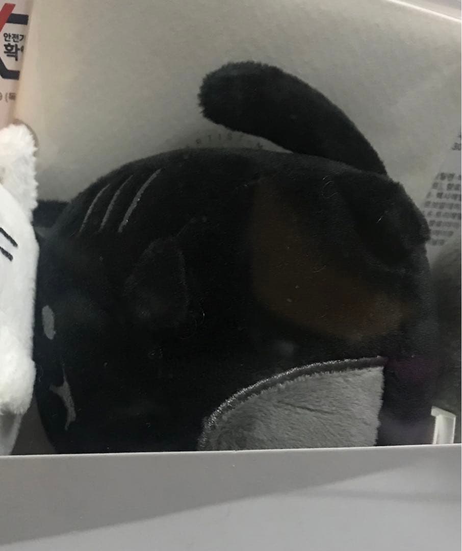 SEVENTEEN JUN 猫　ぬいぐるみキーホルダー3個セット　新品未開封品