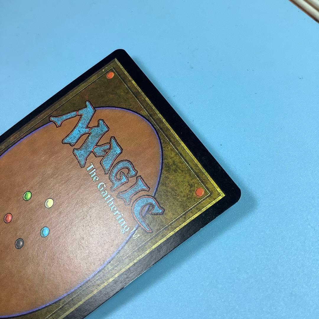 食物連鎖/Food Chain MMQ日本語foil