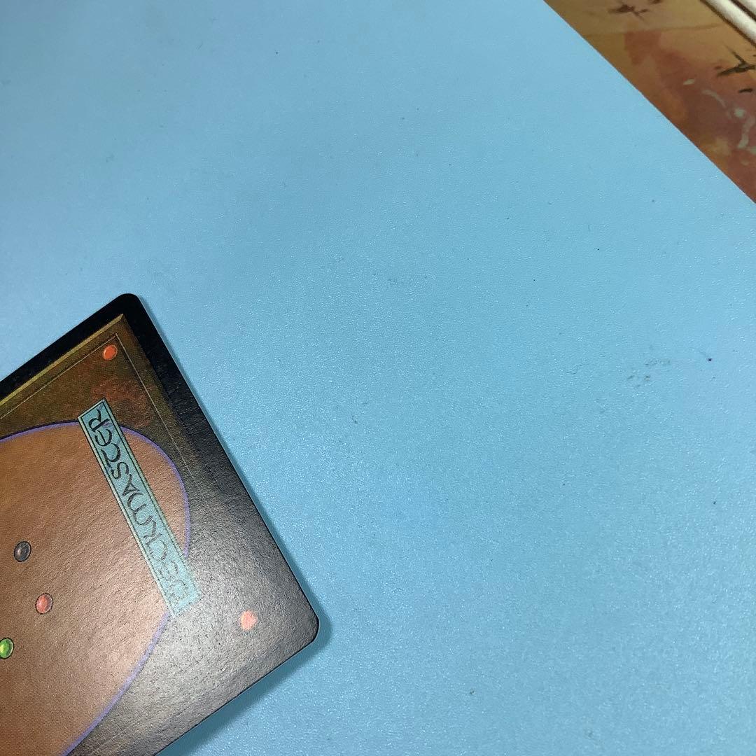 食物連鎖/Food Chain MMQ日本語foil