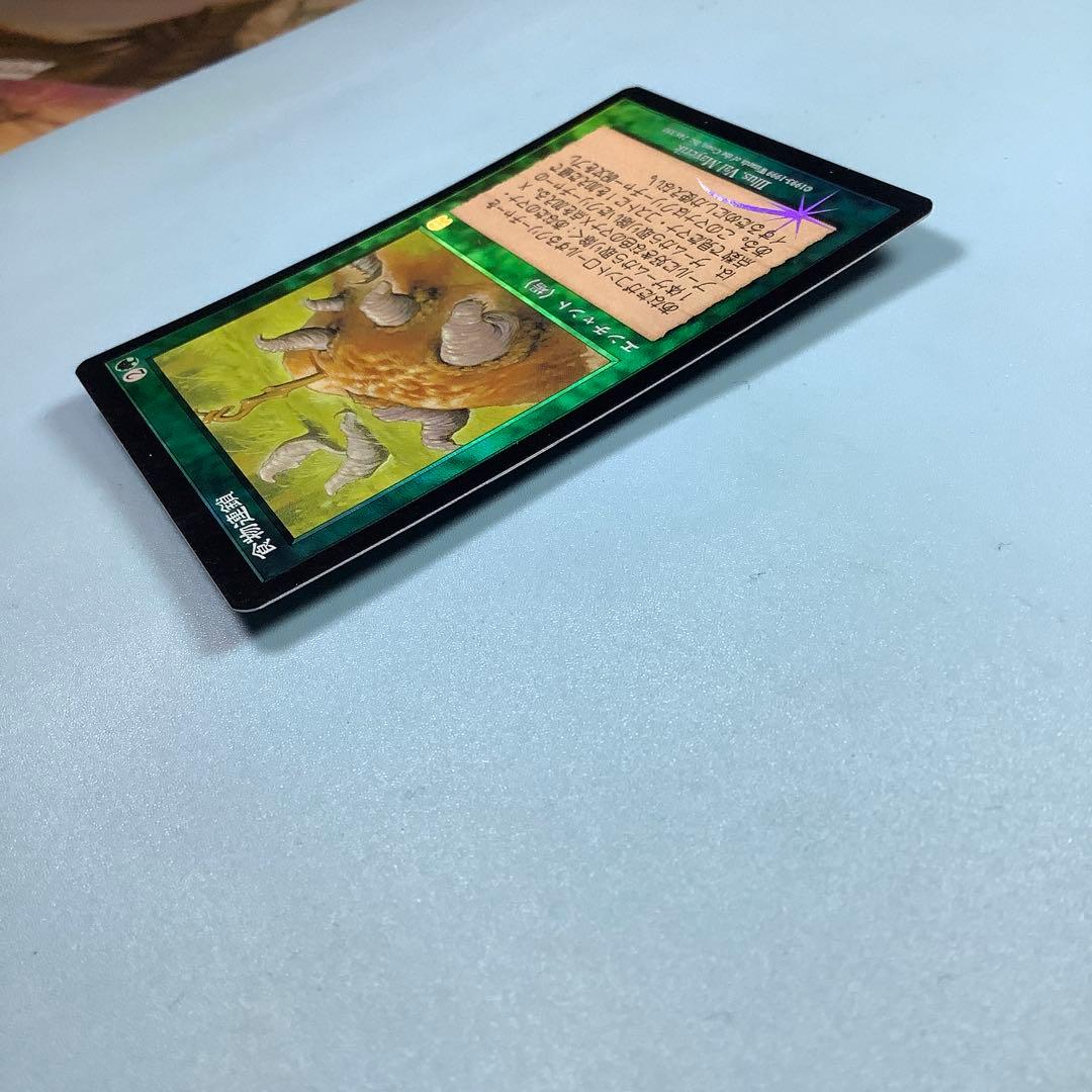 食物連鎖/Food Chain MMQ日本語foil