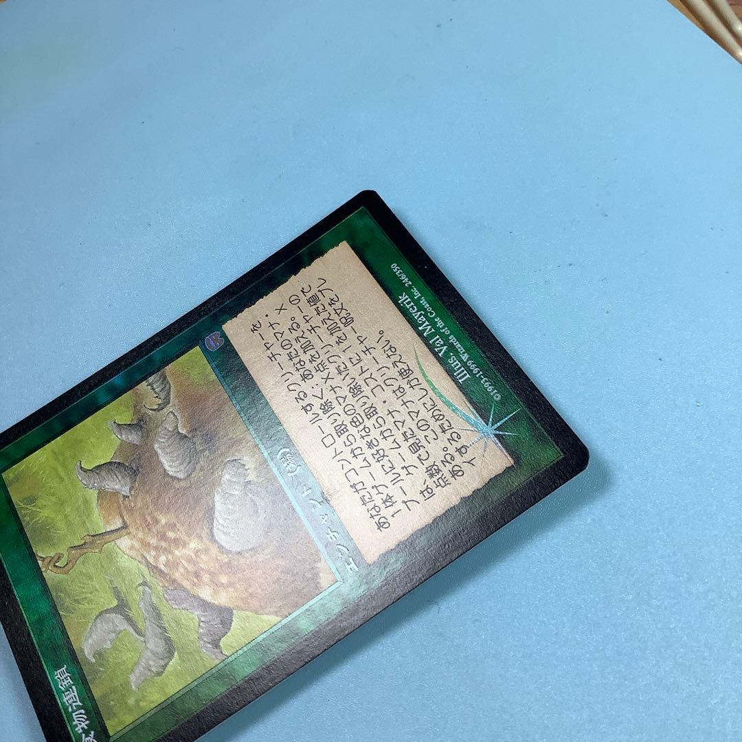 食物連鎖/Food Chain MMQ日本語foil