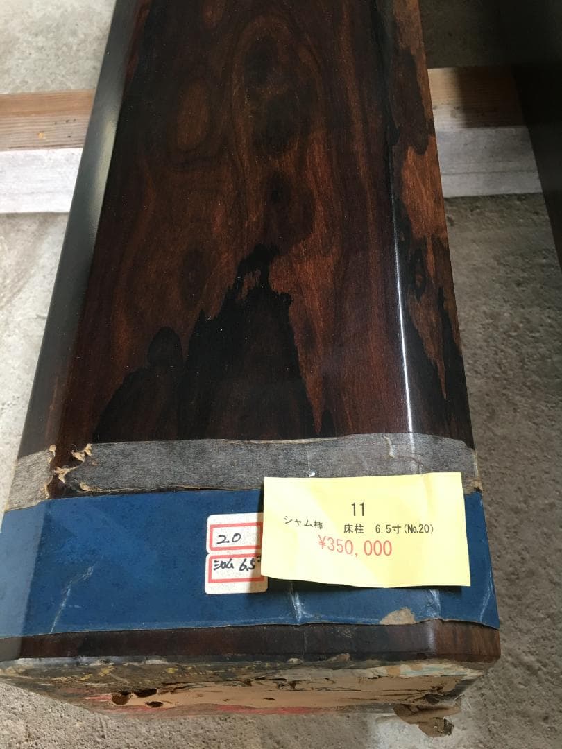 床柱　シャム柿　6.5寸（19.5ｃｍ）