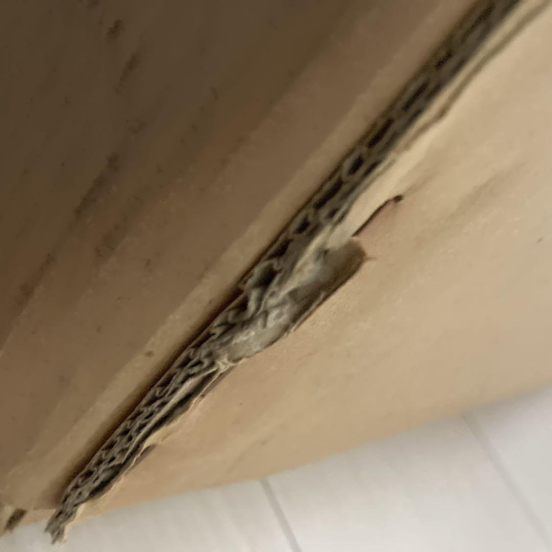 屏風、刀、弓矢のみ　稚児等身大鎧兜　五月人形　稚児鎧兜　着用鎧兜　景光作　3