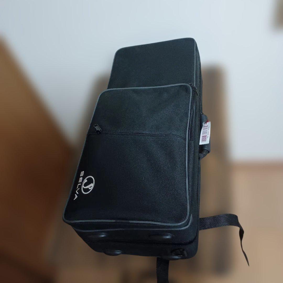 美品】SELVA アルトサックス 初心者 SAS-100K サクソフォーン - メルカリ