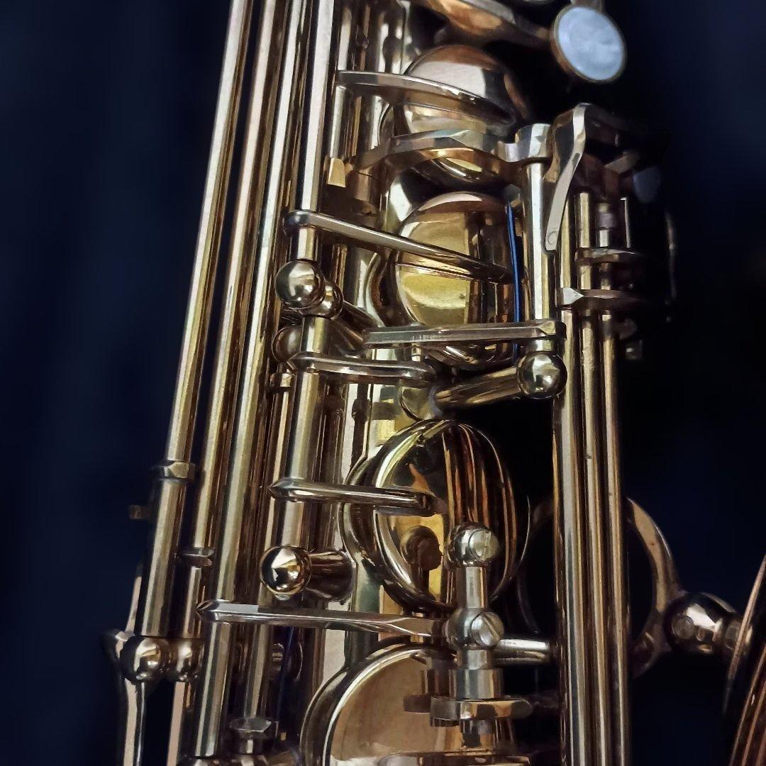 美品】SELVA アルトサックス 初心者 SAS-100K サクソフォーン - メルカリ