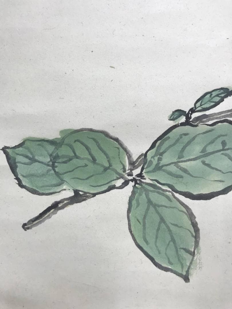 真作】武者小路実篤/花図/横物/掛軸/名家伝来/AC-143 - メルカリ