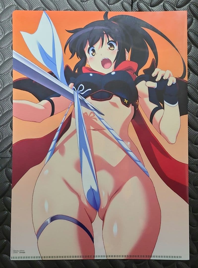 クイーンズブレイド　特典クリアファイル等9種　まとめ売り