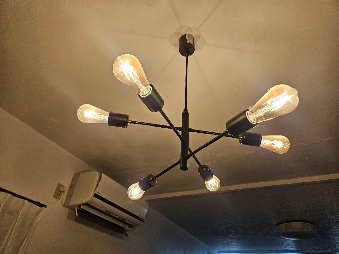 ブラック シーリングライト 6灯