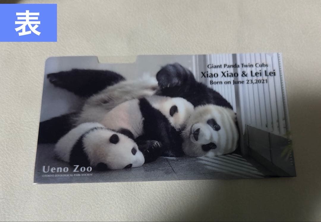 い*ご様 シャオシャオ＆レイレイ ぬいぐるみ クリアファイル 3点セット