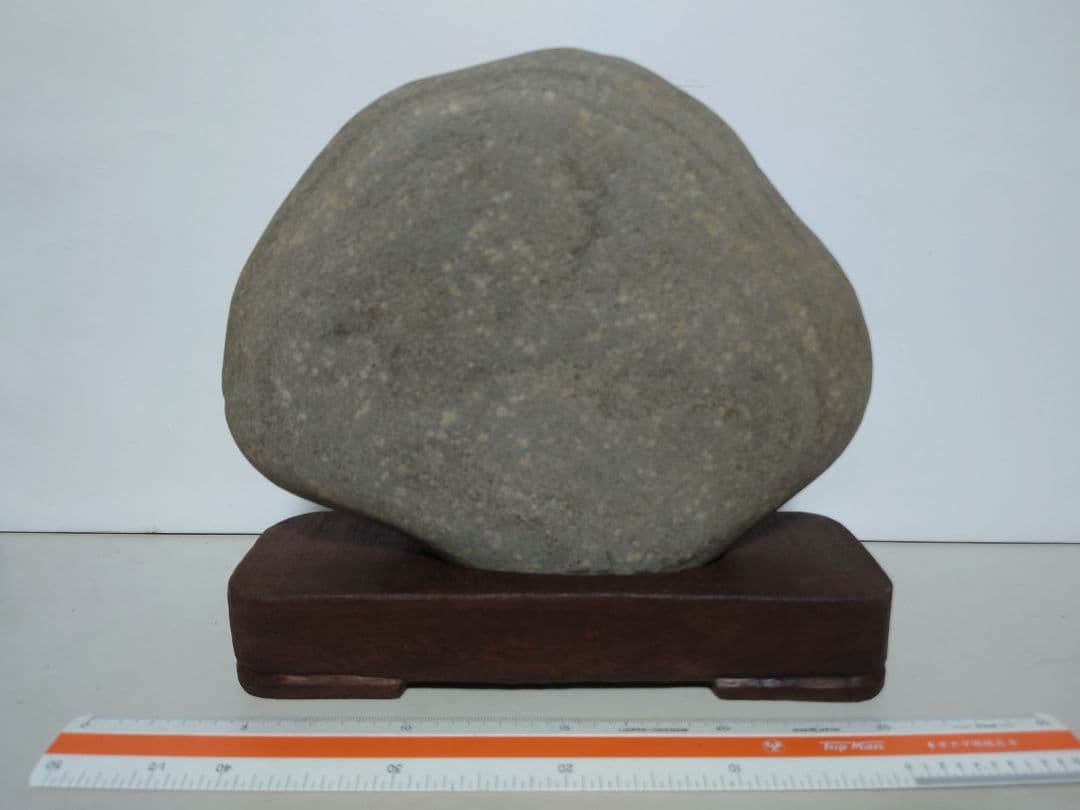 仁淀川石　海牛　水石 鑑賞石