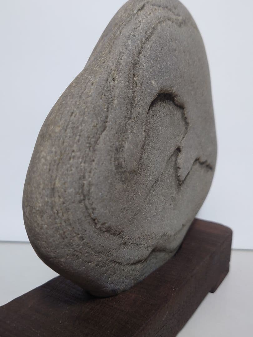 仁淀川石　海牛　水石 鑑賞石