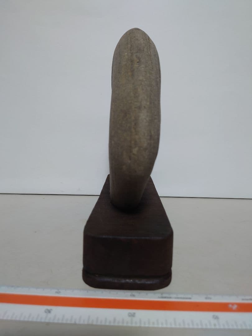 仁淀川石　海牛　水石 鑑賞石