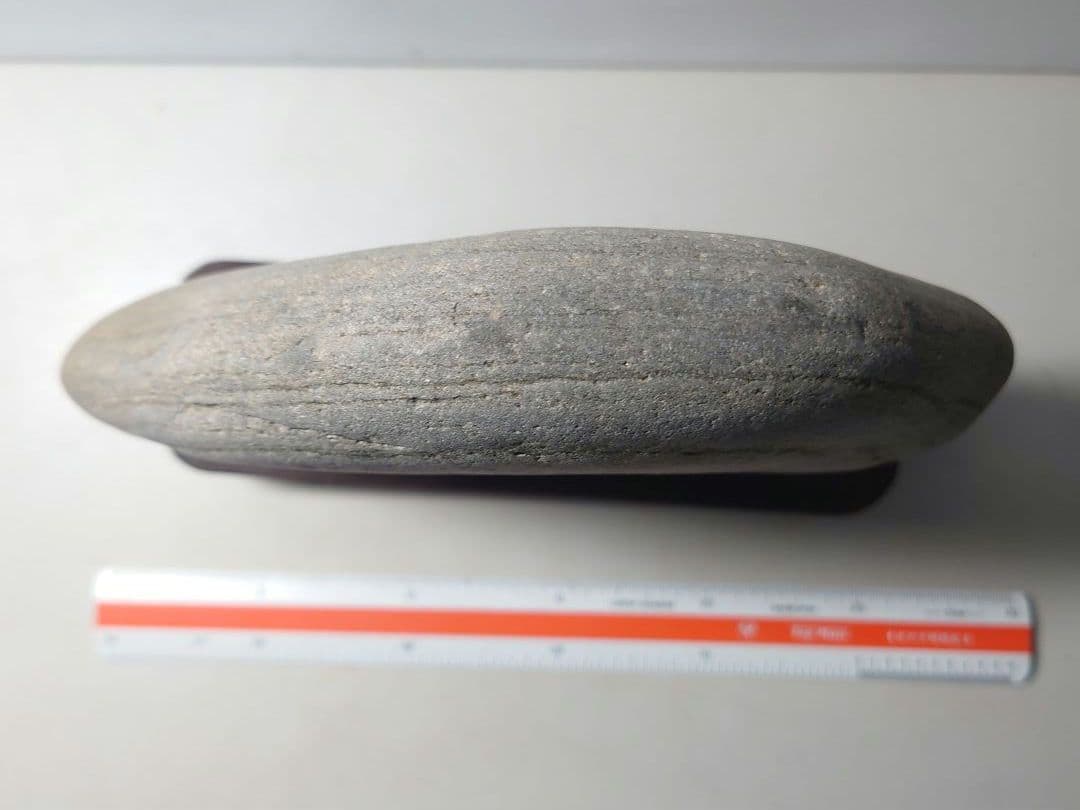 仁淀川石　海牛　水石 鑑賞石