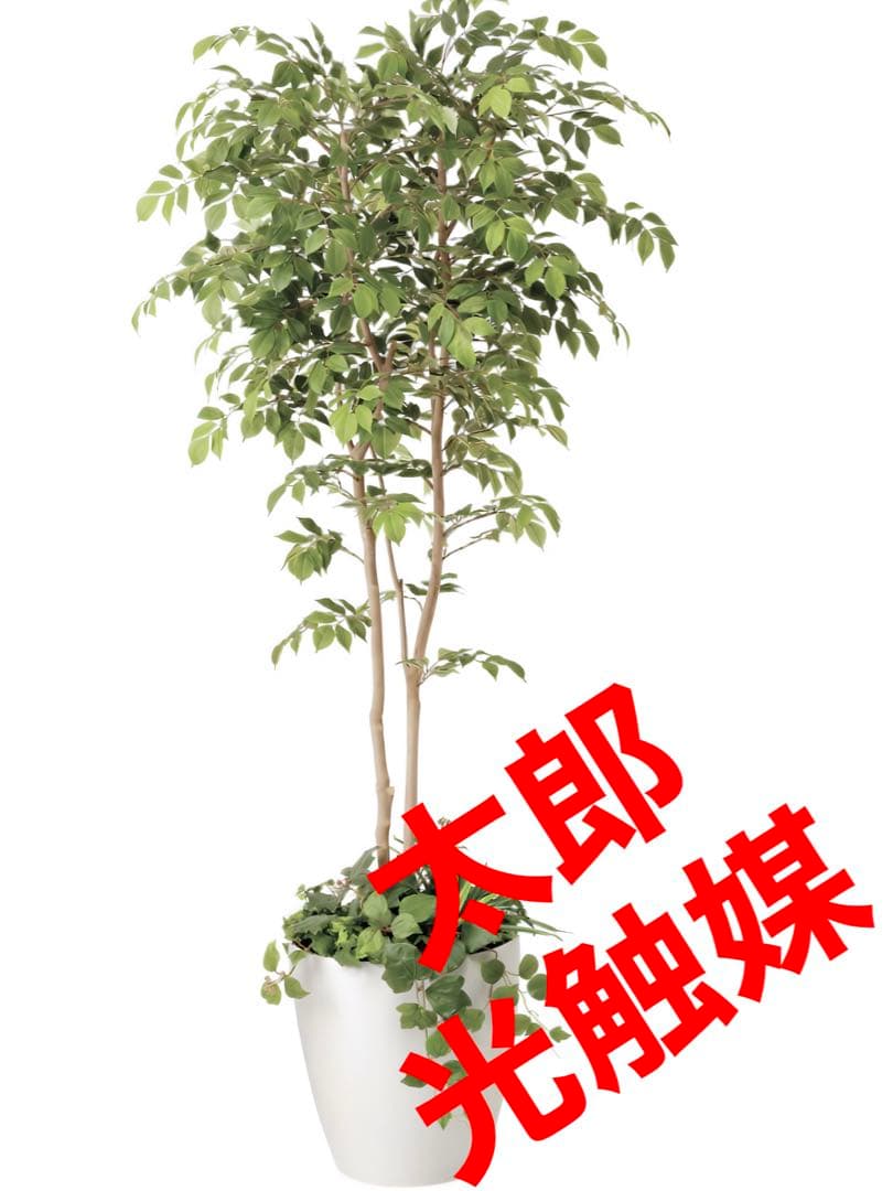 光触媒　人工観葉植物　ウォールグリーン　マウンテンアッシュ1.8 植栽付