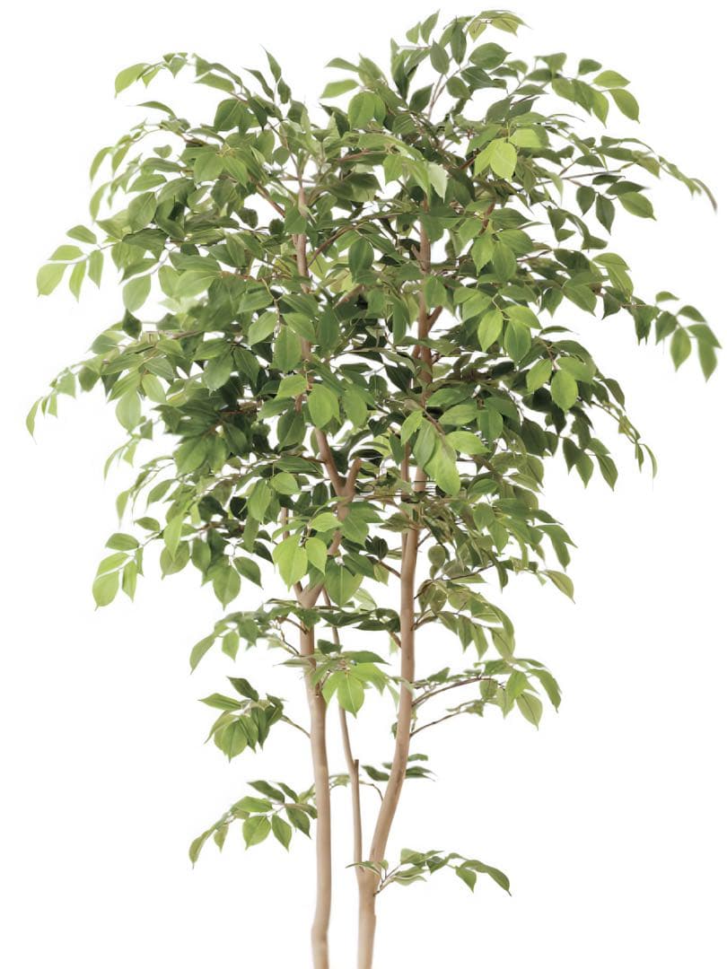 光触媒　人工観葉植物　ウォールグリーン　マウンテンアッシュ1.8 植栽付