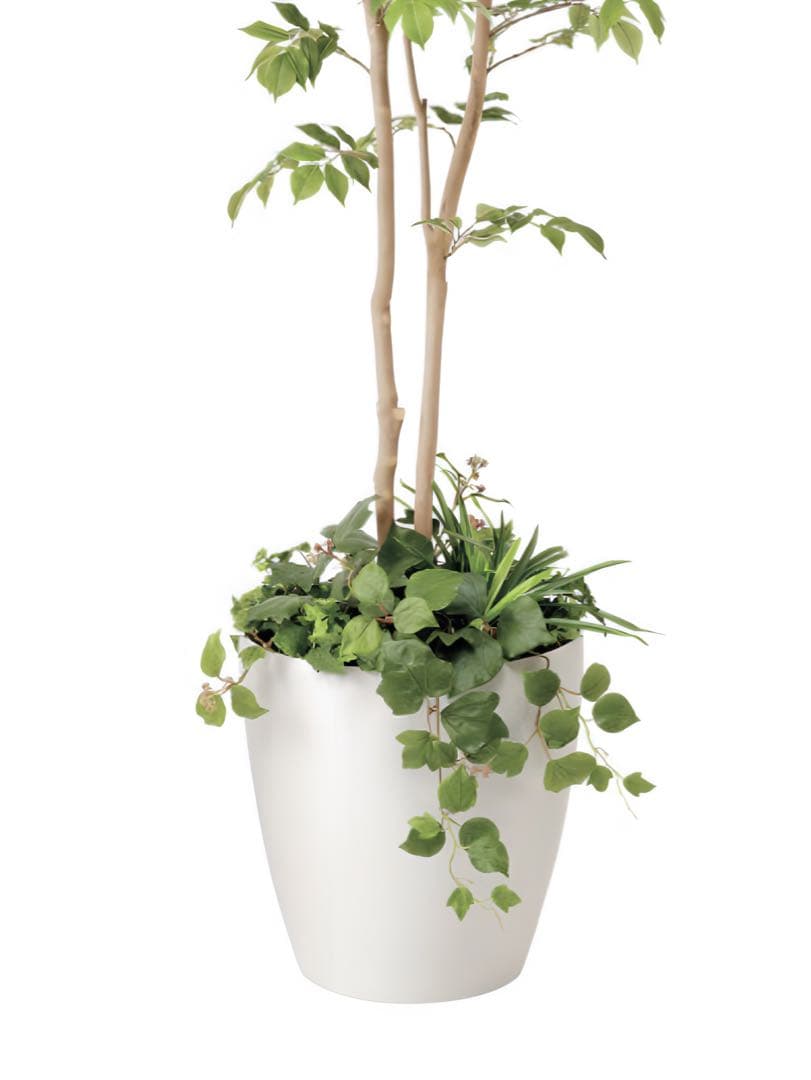 光触媒　人工観葉植物　ウォールグリーン　マウンテンアッシュ1.8 植栽付